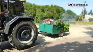 Odpust św. Rocha i święcenie zwierząt w kadzidlańskim kościele